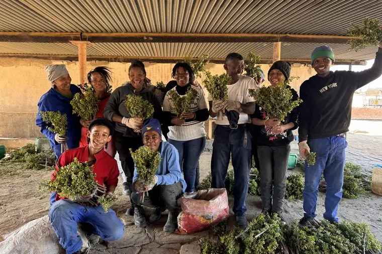 Workers at Sand River with harvested vegetables