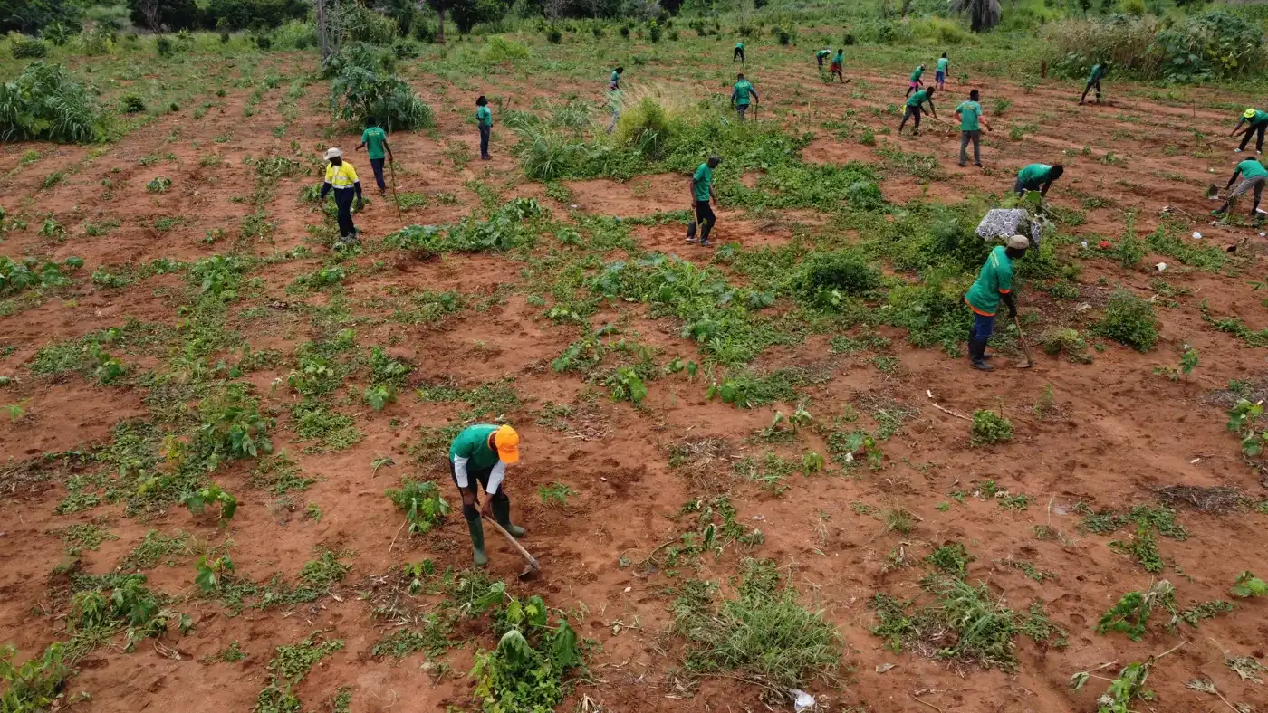 Aerial sweep of a large planting crew working the land, Ghana