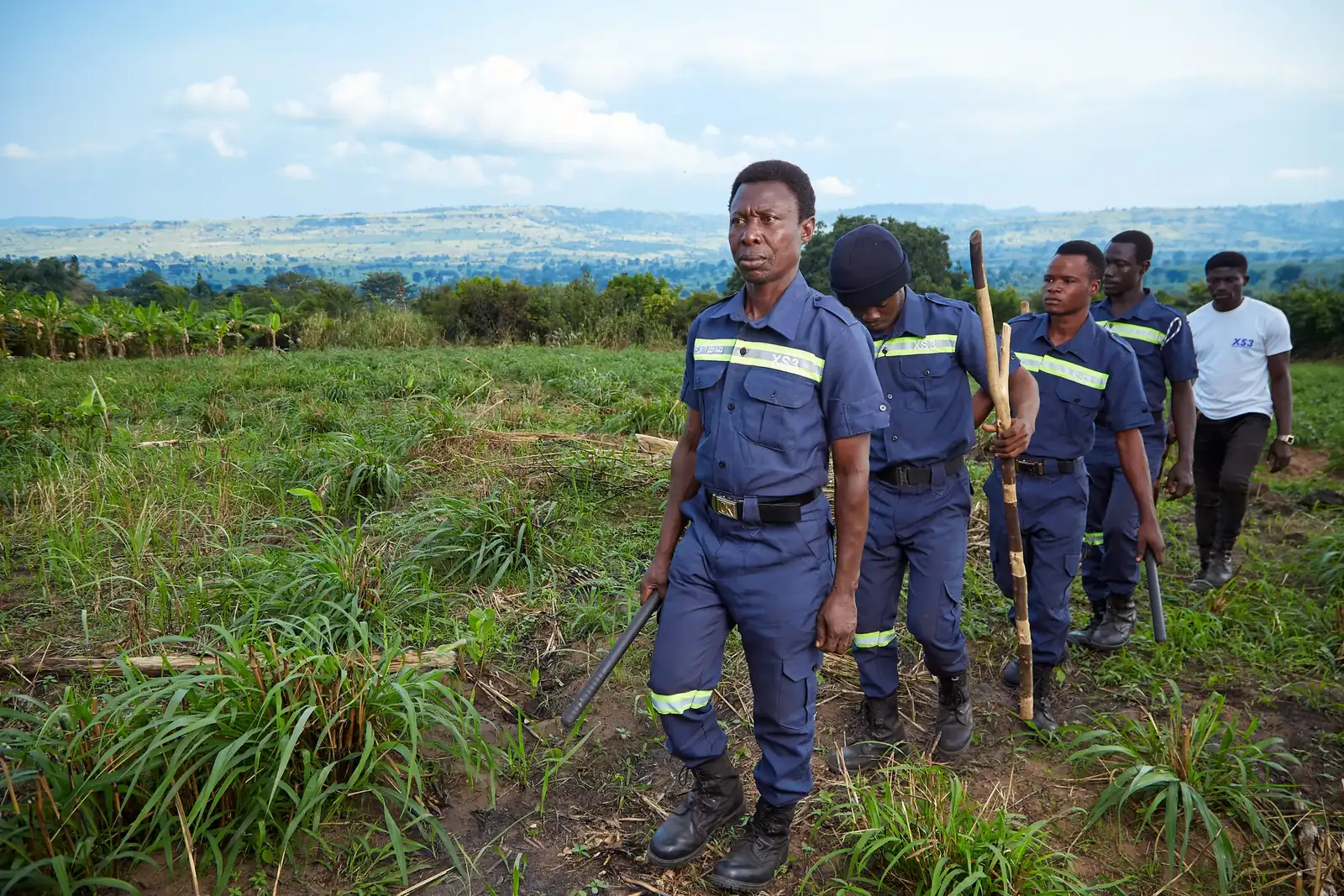 EcoPlanet's monitoring team walking through regenerating forest, Ghana
