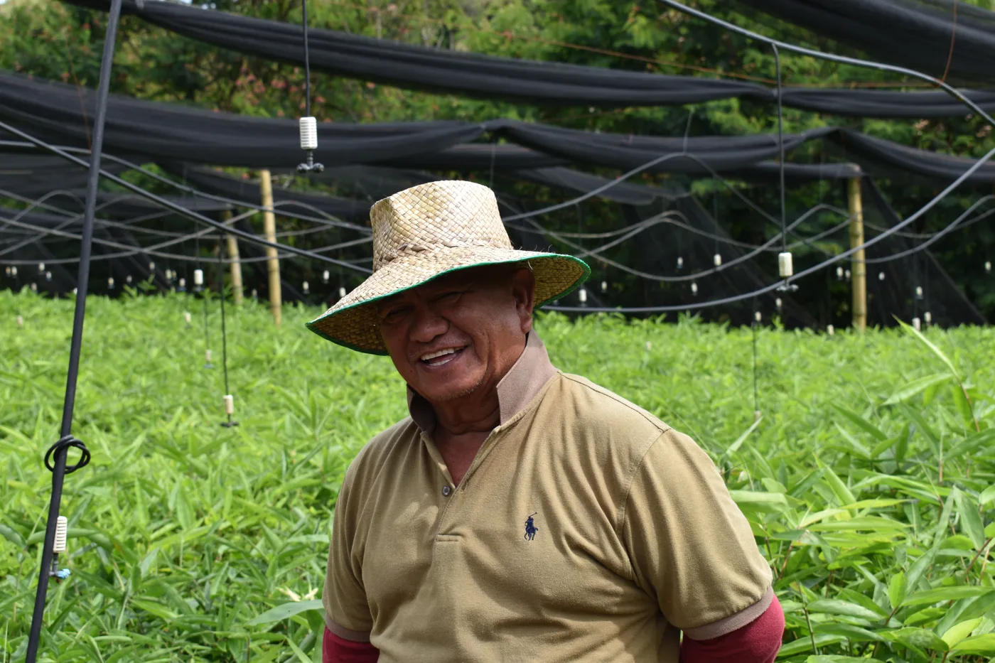 A nursery foreman in Lanao del Sur, Philippines