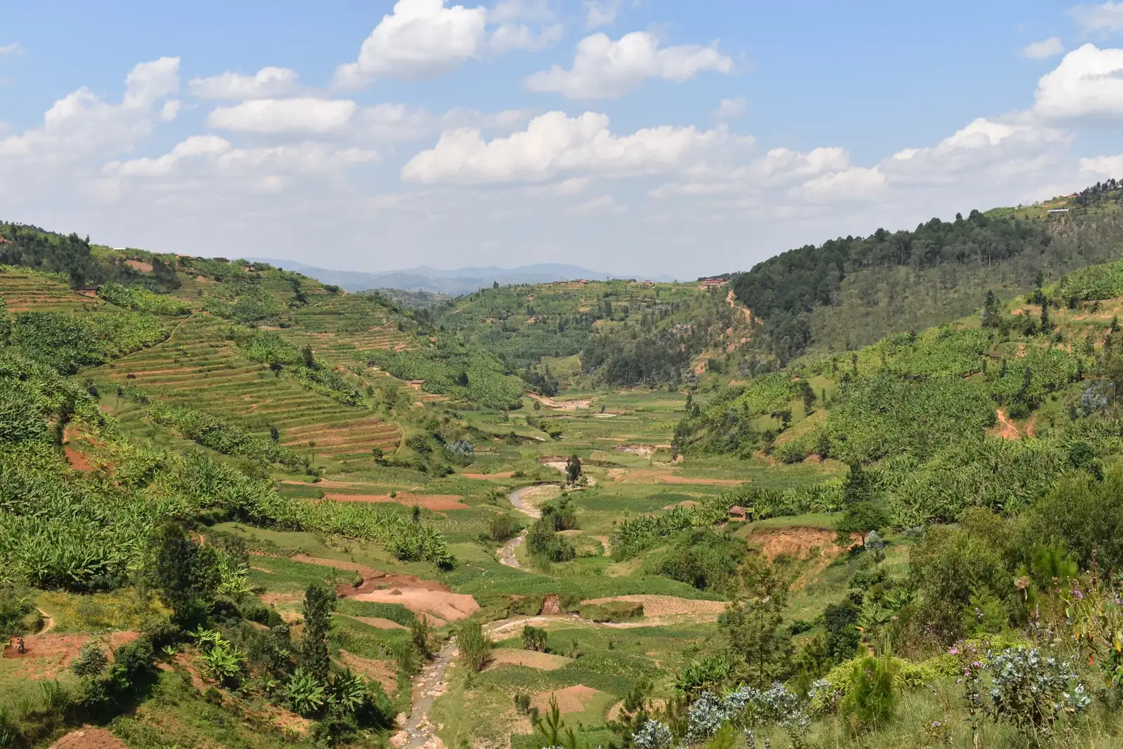 Terraced green valley with a winding river, Rwanda