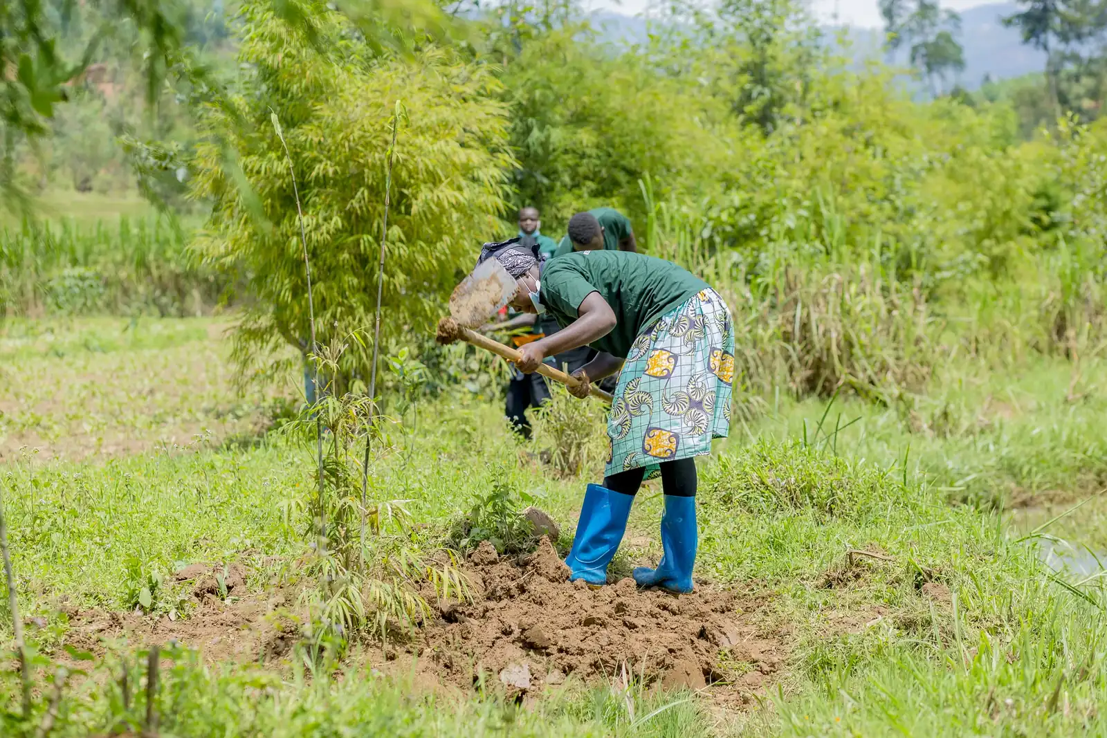 A woman cultivating a household kitchen garden plot in Rwanda