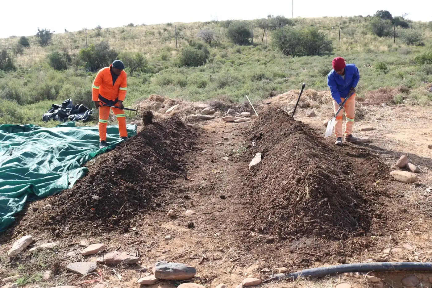 Workers turning compost on the Eastern Cape estate